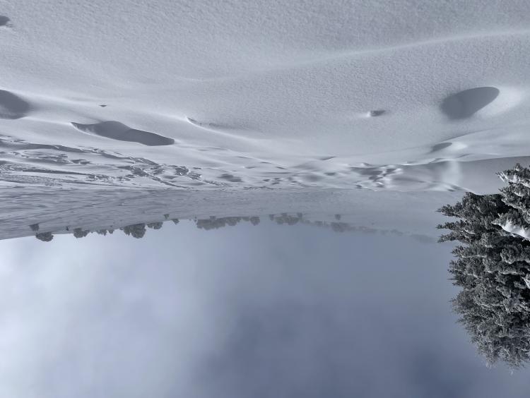 La neige, structure éphémère