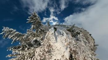 avatar de Pitt_Helico