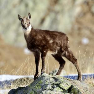 avatar de EricBianchi