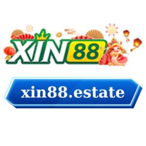 avatar de XIN8estate