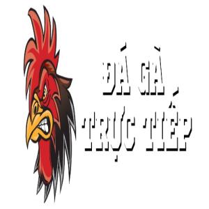 avatar de dagatructiep88tv