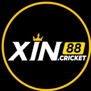 avatar de XIN8cricket