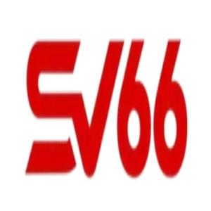 avatar de sv66teamcncom