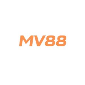 avatar de mv8899com