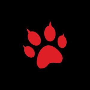 avatar de cybertigerjp