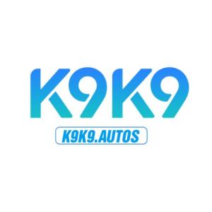 avatar de k9k9autos