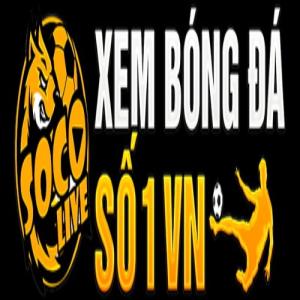 avatar de Socolvenow