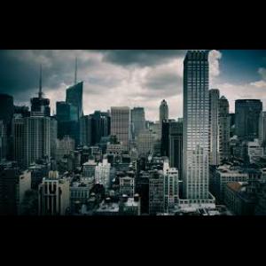 avatar de prestigegarbre