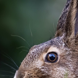 avatar de Lolo.81700