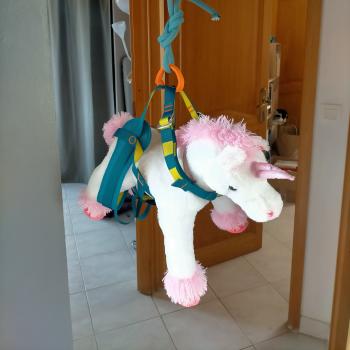 avatar de pangolinbleu