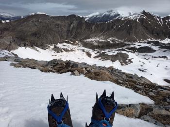 avatar de Olivedumartagon