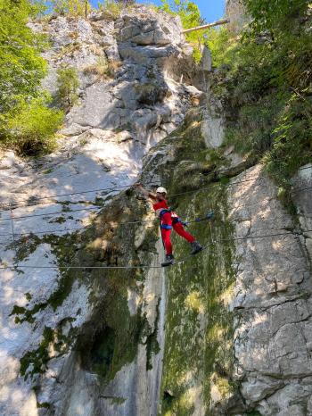 avatar de Rhododindon