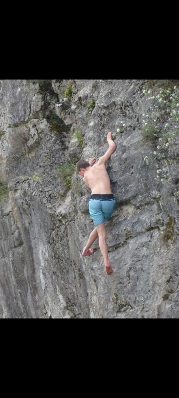 avatar de fvollenberg