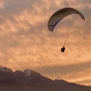 avatar de Thircuir.Bruno