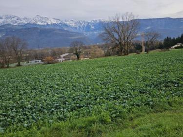 Balade dans Montbonnot