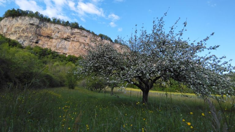 Marche et vol à St So...