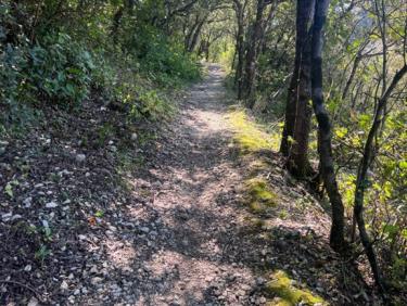 Tour - Hermitage - mont haut - château- St hippolyte