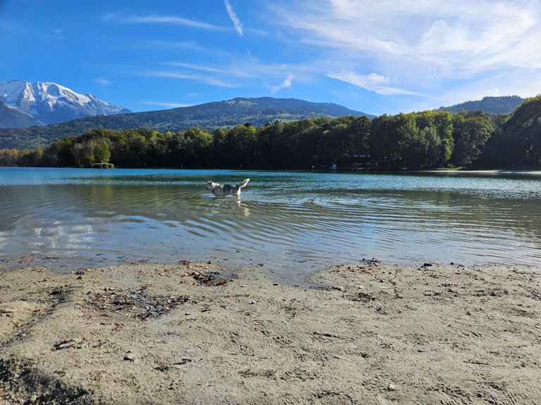 Tour du lac de Passy