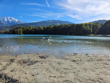 Tour du lac de Passy