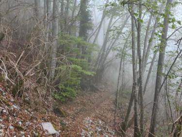 Petit trail Croix de Tormery