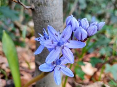 12 kilomètres à pied, ça use ça use.