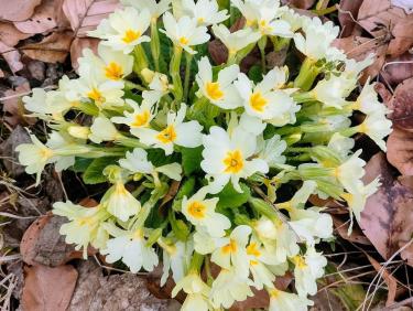 12 kilomètres à pied, ça use ça use.