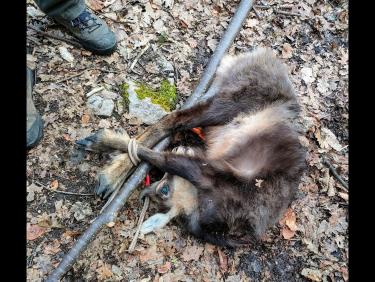 12 kilomètres à pied, ça use ça use.