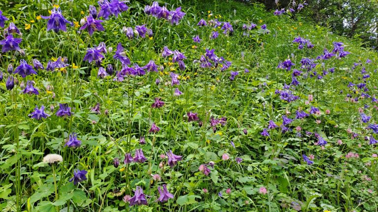 Afternoon Mountain Bike Ride