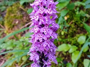 1915F549-F167-4D3D-BB5B-4CE55C2BBFED.