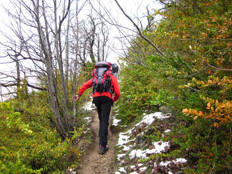1ères traces de neige