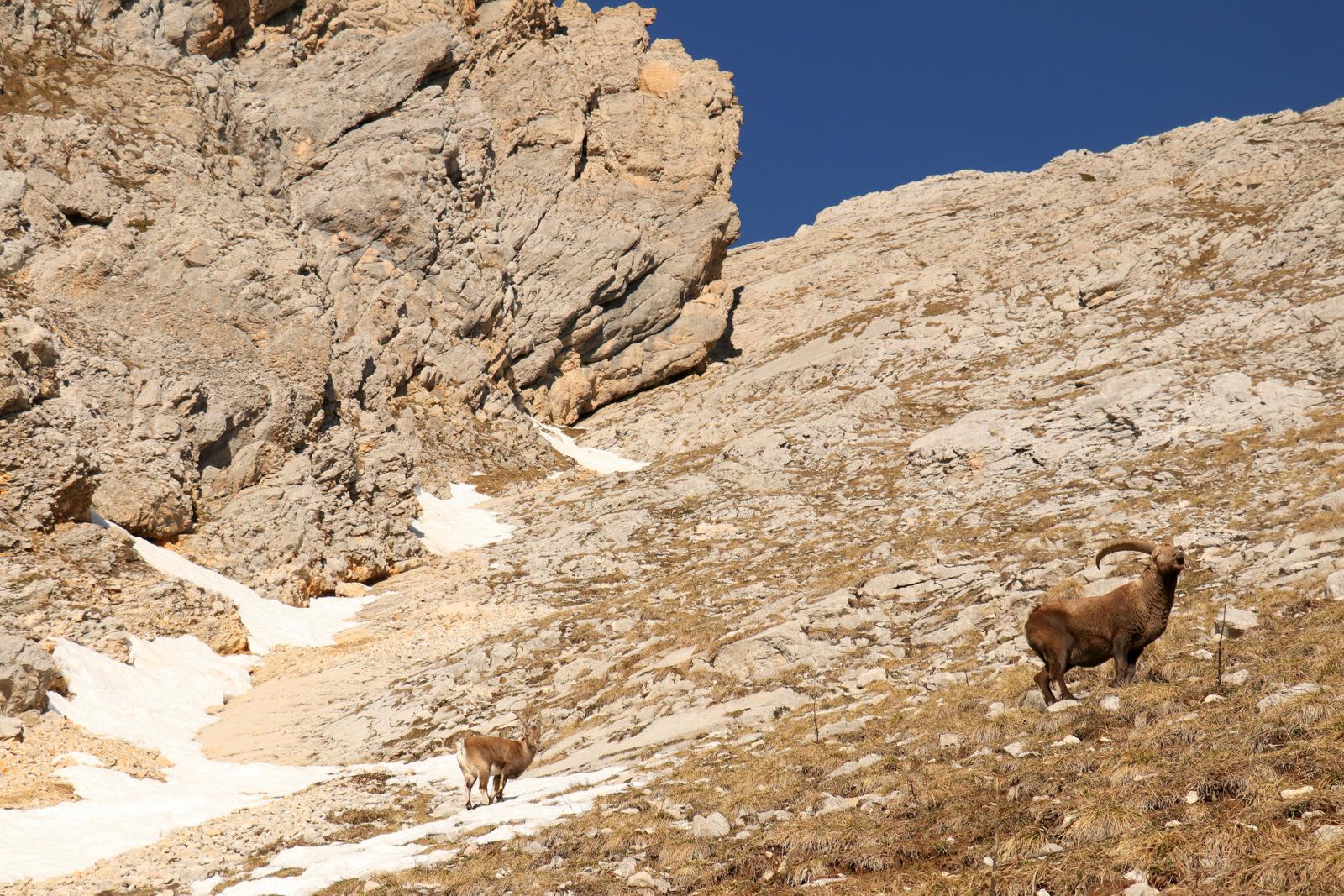 _20230107_11015300-001