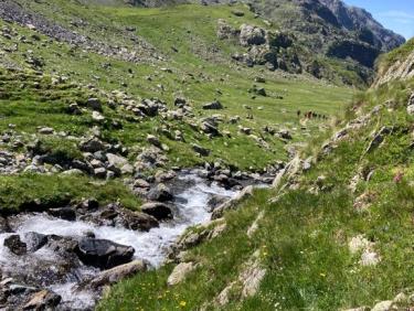 4 cols : Sitre, Loup, Pra et Freydane
