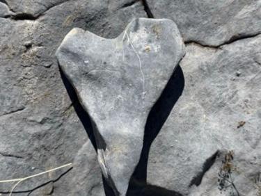 Boucle col de crous par le hameau de Roya