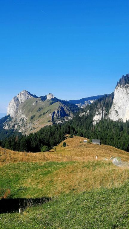 VTT - Alpage de la Bray