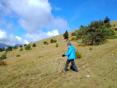 2EAB8B8B-2FD4-4DDA-AF27-3CF6BACDADE3.