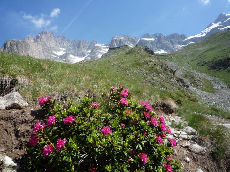 2eme j - en montant au refuge de l'Olan