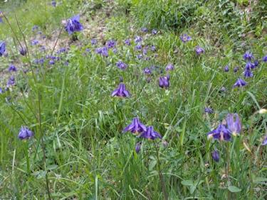 Retour Vélotaf neigeux