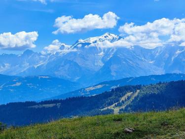 301550019_2635530876579675_8322652747318974543_n