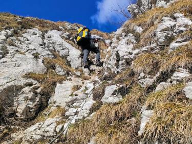 343472729_550734720576145_8206550296395226844_n