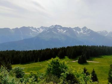 347238075_2890645491068211_727349953135653090_n