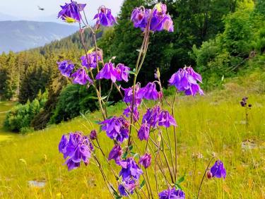 355007717_2890644927734934_4428127595676601390_n