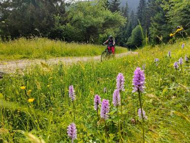 355079858_2890644511068309_8398297348815557140_n