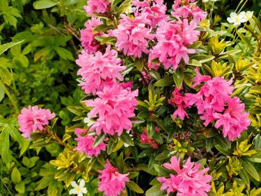 355105463_2890645641068196_1561945965298835471_n