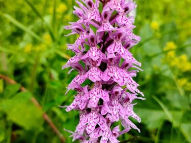 355124270_2890645727734854_5372852841666006496_n