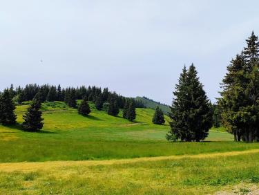 355142299_2890645584401535_9083151368353756550_n