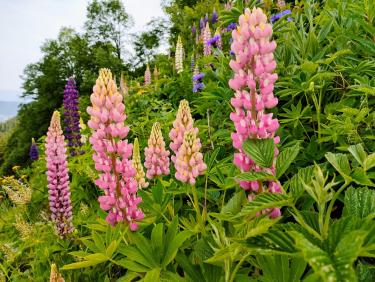 355285370_2890645531068207_5103050931571380058_n