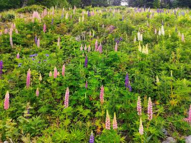 355427553_2890645447734882_3935742401197223467_n