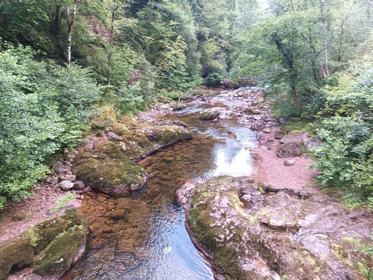 Randonnée au Sommet d'Artzamendi et Col d'Espalza