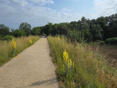 De St Palais à  Abitain avec Michel Arotcharen 👍