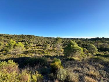 Balade autour du Bombardier avec Thalie 🐕